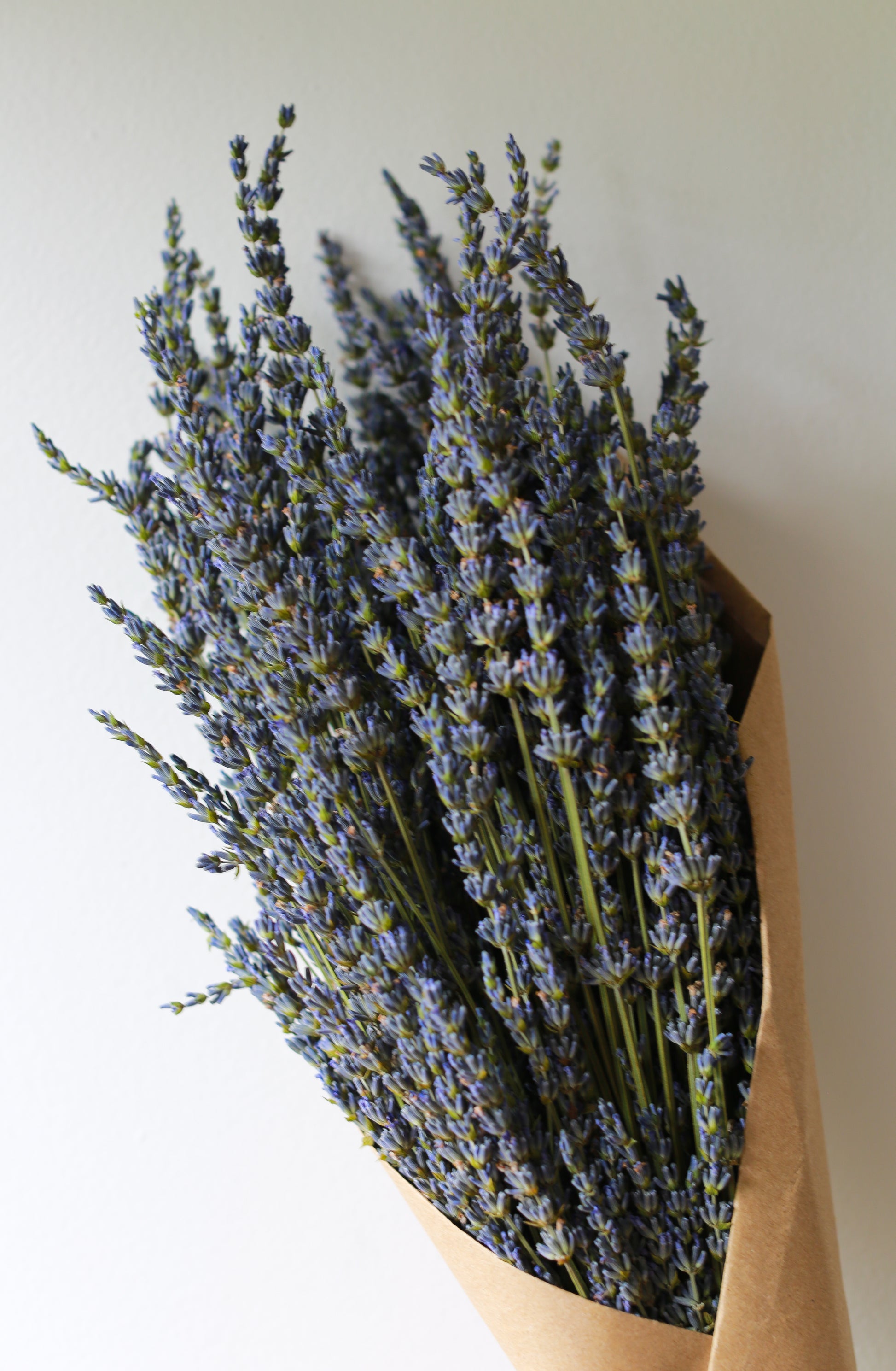 Dried Lavender bundle - Buy lavender direct from the farm!