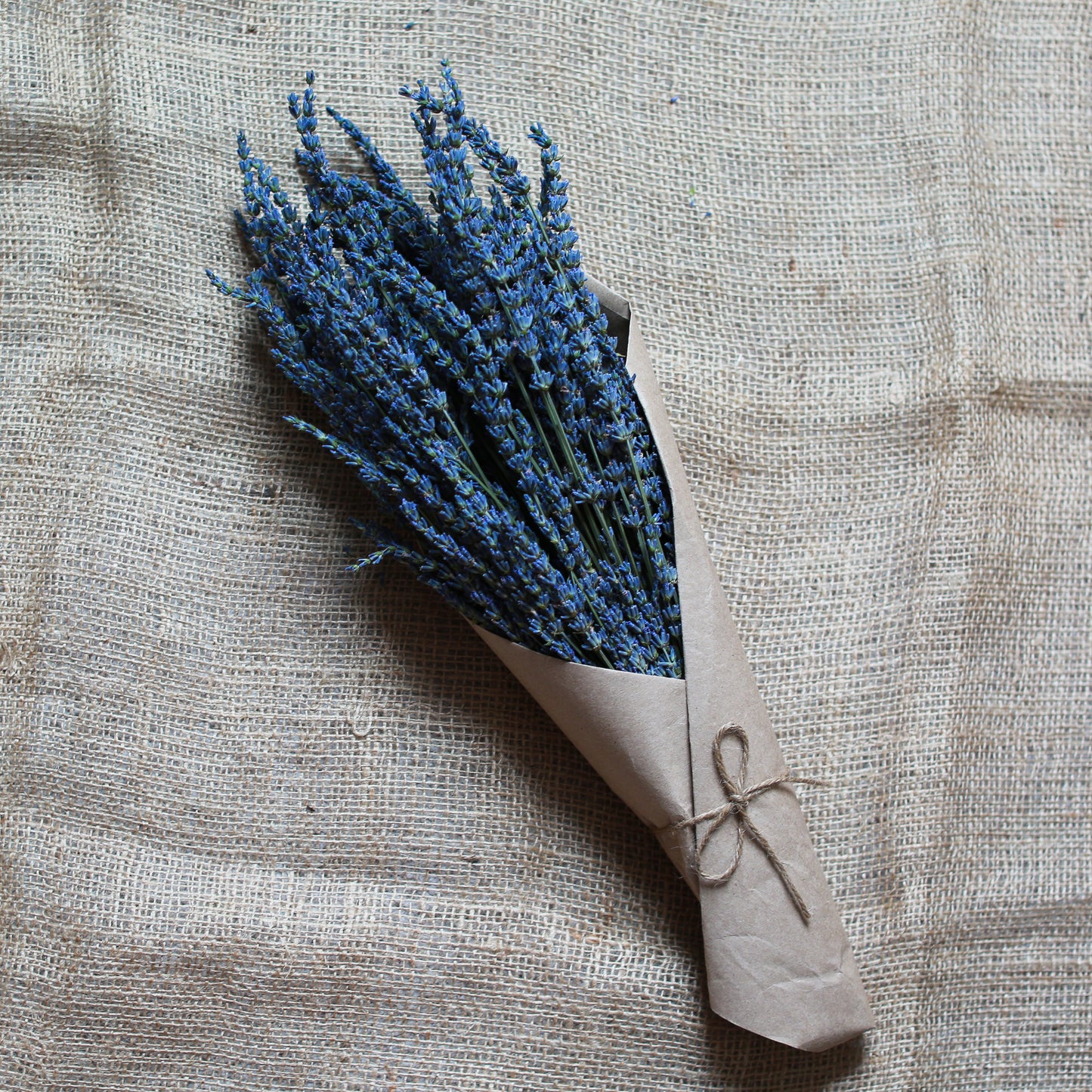 Dried Lavender- Large Bouquet Bundle