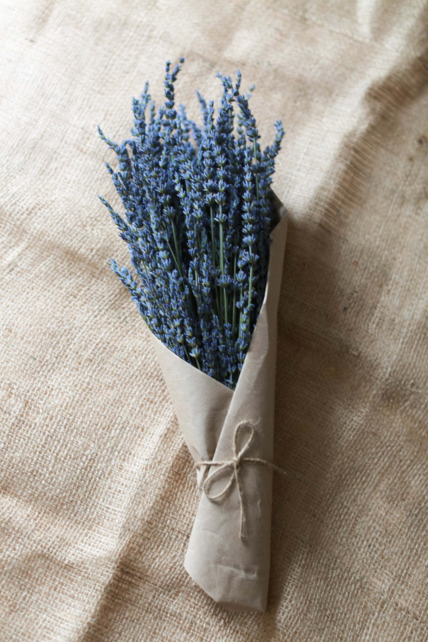 Dried Lavender- Large Bouquet Bundle
